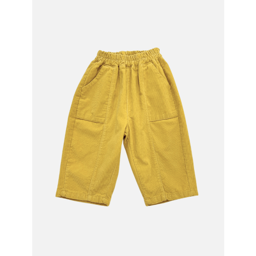 CORDUROY PANEL PANT