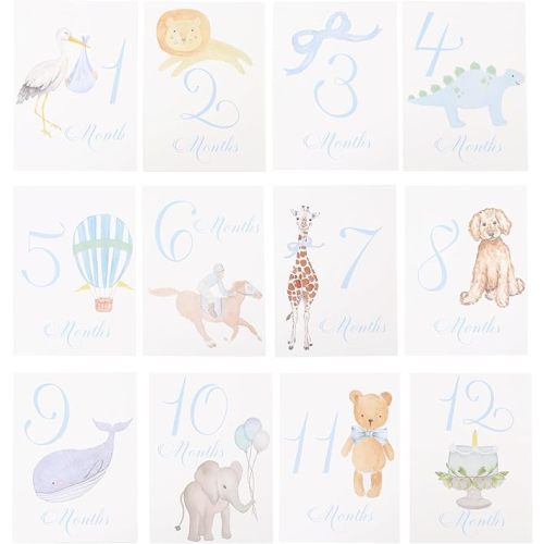 Baby First Holiday Cards - First Year Cards,Monthly Milestone Baby Shower,Milestone Monthly Holiday Photo,Photo Props (blue)