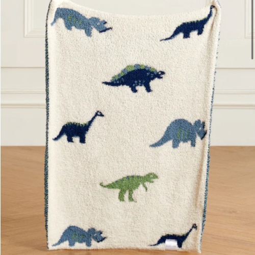 Dinosaur Buttery Blanket – The Styled Collection