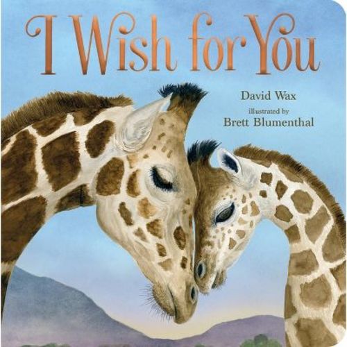 I Wish for You - by David Wax (Board Book)