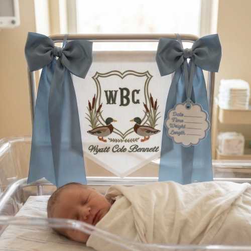 Personalized Baby Boy Name Banner, Embroidery Baby Boy Name Sign, Birth Announcement Sign, Baby Boy Door Hanger, Mallard Nursery Decor