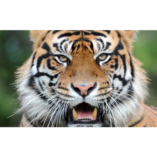 Zoo Miami Family Pass