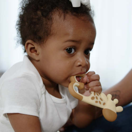Dr. Brown’s™ Ridgees™ Giraffe Teether