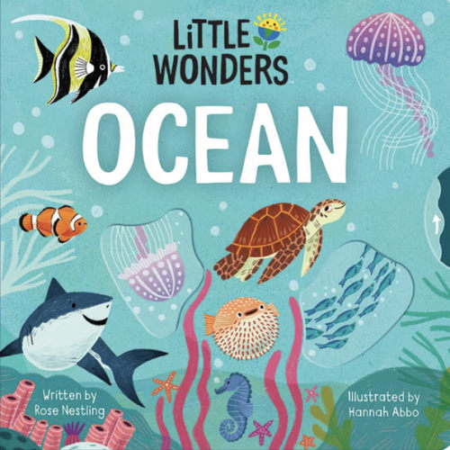 Little Wonders OCEAN — Introduction to the Ocean