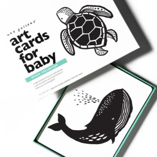 Art Cards for Baby - Ocean