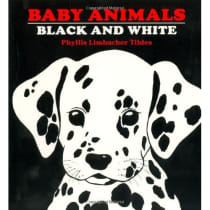 Baby Animals Black and White