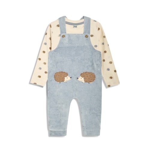 Hedgehog Appliqué Long Sleeve T-Shirt & Overalls Set, 6-12M