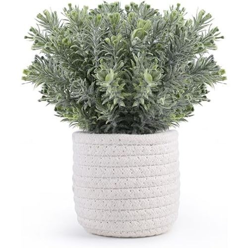 Hopewood Small Artificial Plants Eucalyptus with a Weave Basket Potted Plants for Home Office Desk Farmhouse Indoor Decor