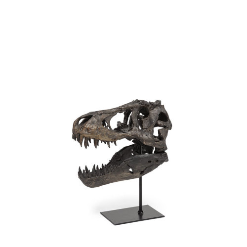 Trent Austin Design® Altura Jurassic Sculpture & Reviews | Wayfair