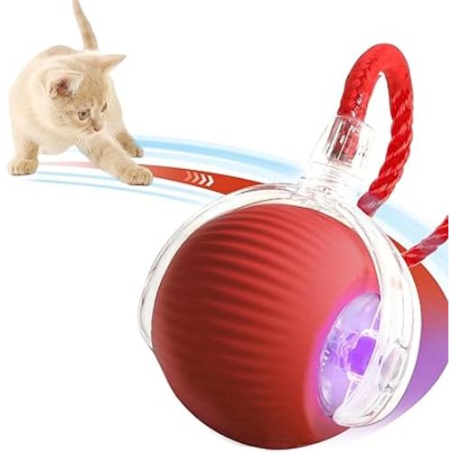Interactive Cat Toys for Indoor Cats, Rechargeable 360° Automatic Moving Cat Toy for Bored Indoor Adult Cats, 2025 Upgraded Chase Motion Activated Kitten Toys - Red
