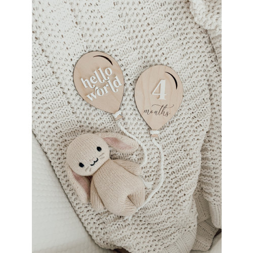 Balloon Baby Milestone Sign | Baby Gift | Monthly Baby Picture Sign | Balloon Baby Plaque |Wood Sign | Hospital Picture Sign