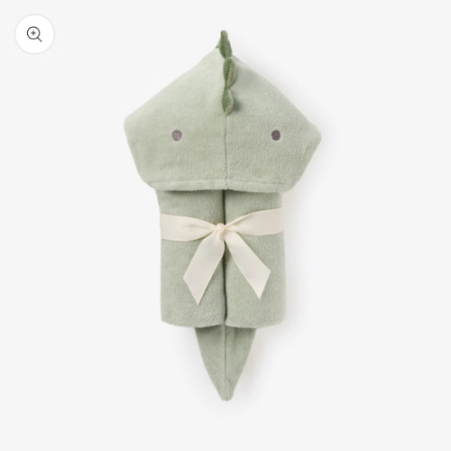 Dinosaur Hooded Baby Bath Wrap – Emerson and Friends