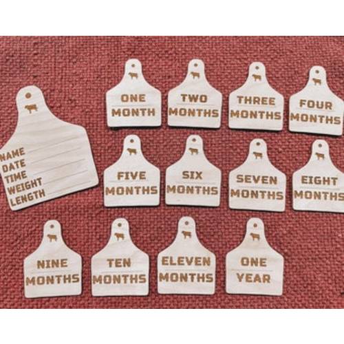 Cow Tag Baby Announcement, Farm Baby Announcement, Baby Milestone, Monthly Birth Props, Country Baby Gifts, Farm Baby, Farm Baby Photo Prop - Etsy