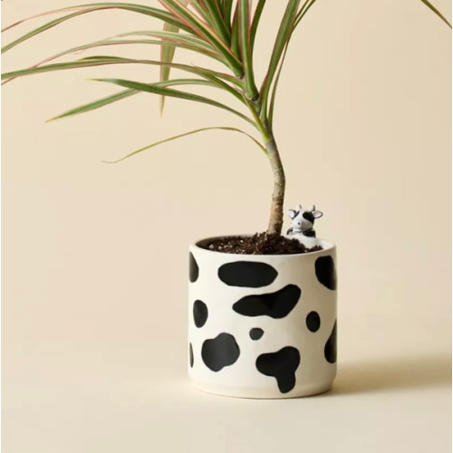 Moo Peeking Cow Ceramic Planter | Urban Outfitters