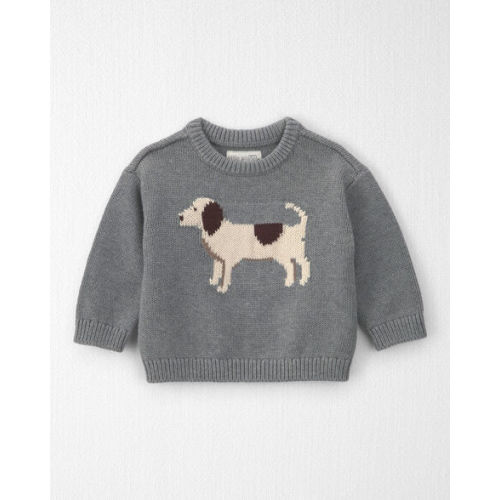 Baby Organic Cotton Dog Sweater Knit Pullover - Little Planet | Carter's