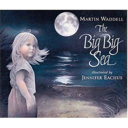The Big Big Sea