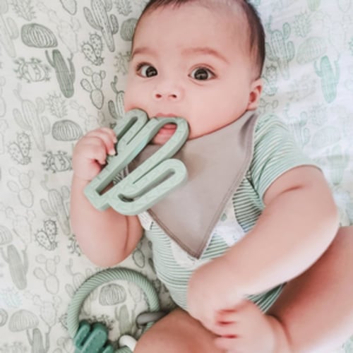 Cactus Teethers – The North Shore Kids