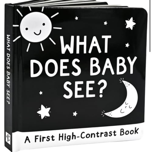 What Does Baby See? A High-Contrast Board Book (Padded Cover)