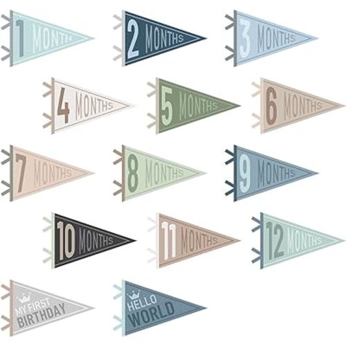 14 Pcs Baby Felt Pennant Milestone Signs Monthly Milestone Banner Flags Pennant Triangle Banner Age Milestone Flag Signs for Boy Girl Newborn Birthday Party Decor (Ocean Color)