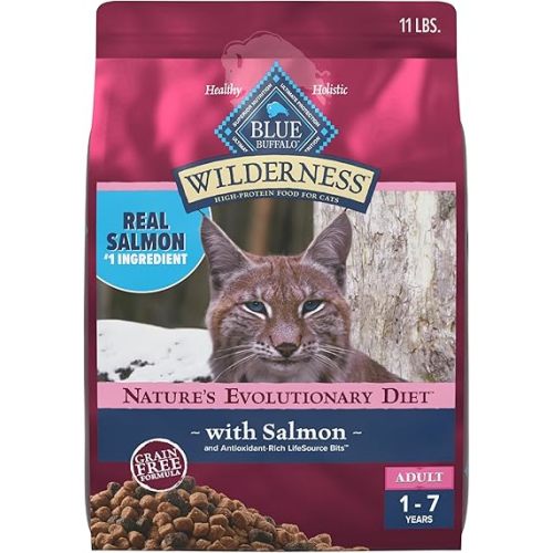 Blue Buffalo Wilderness - Alimento seco natural con alto contenido de proteínas, sin cereales, para gatos adultos, salmón, bolsa de 11 libras