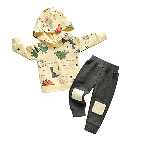 Infant Baby Boy Clothes Dinosaur Print Hoodie Tops + Pants Sweatsuit Outfits