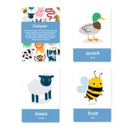 Baby Flash Cards