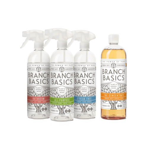 Cleaning Essentials Kit