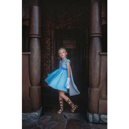 Ice Queen Dress and Cape Set Style B size 4