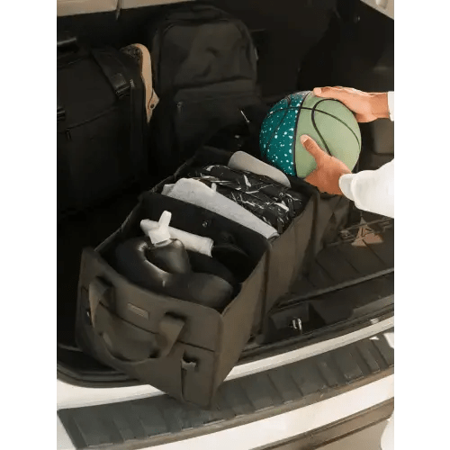 Car Organizer in Dune | CALPAK
