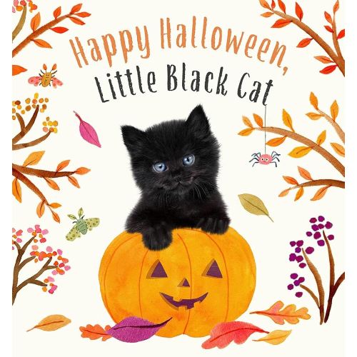 Happy Halloween, Little Black Cat: A Board Book (Baby Animal Tales)