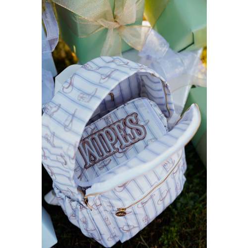 Wipes Pouch - Western Blues Clear Coat Bag