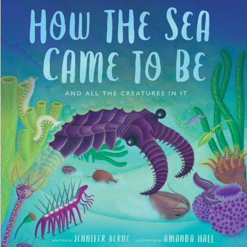 How the Sea Came to Be a book by Jennifer Berne and Amanda Hall - Bookshop.org US
