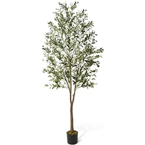 CAPHAUS 6 Feet, 72 Inch, Artificial Olive Tree, Faux Plant in Pot, Faux Olive Branch and Fruit, Fake Potted Topiary Tree with Dried Moss for Indoor Home Office Modern Housewarming Decoration Gift