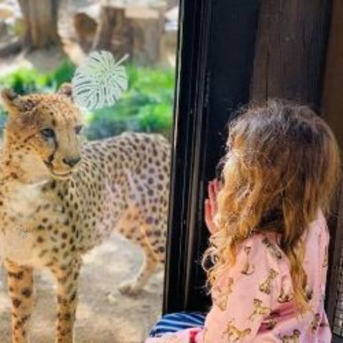 Membership | Sacramento Zoo