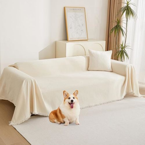 Couch Cover