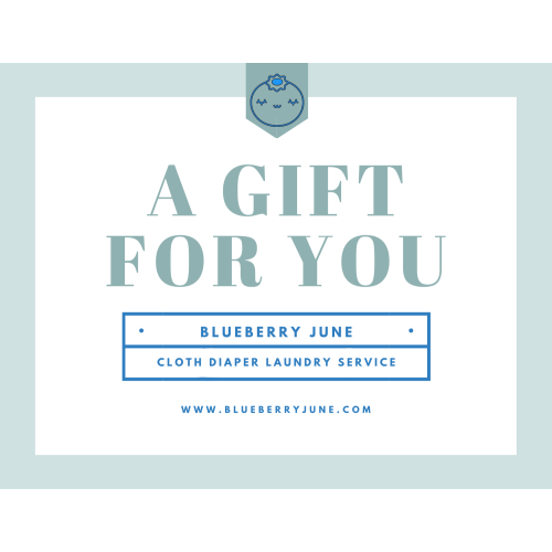 Gift card — Blueberry June Cloth Diaper Laundry Service & Eco Boutique