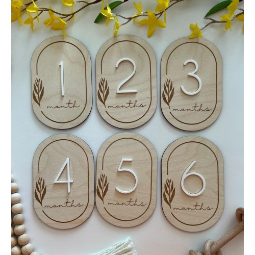 Wildflower Monthly Milestones | Wheat Milestone| Fresh 48 Photos| Baby shower Gift| New Mom Gift | Hospital Photo Prop|