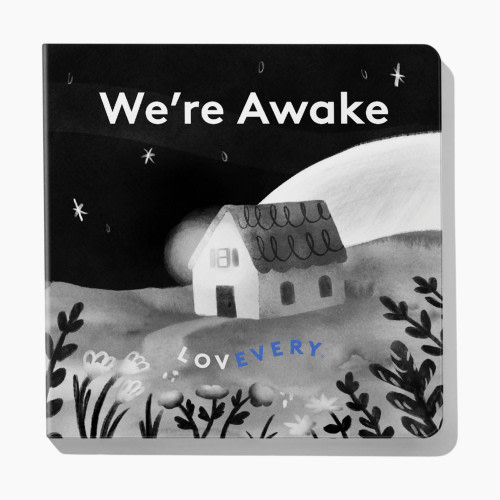 Lovevery Baby's First Book Set