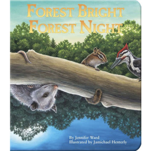 Forest Bright, Forest Night by Jennifer Ward, Jamichael Henterly, Board Book | Barnes & Noble®