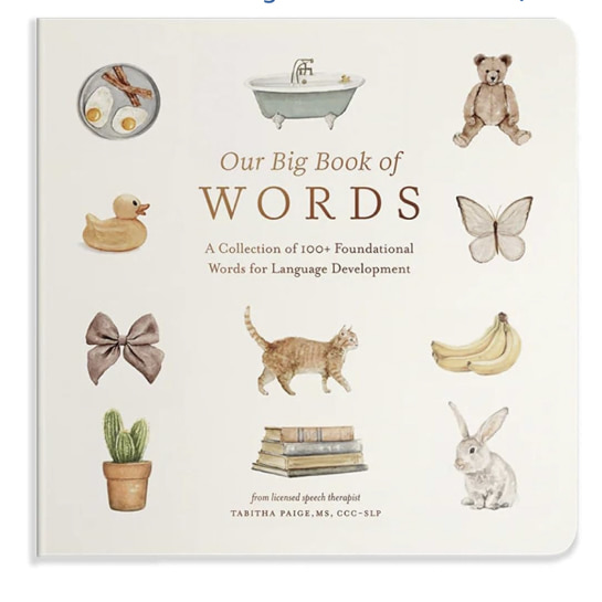Our Big Book of First Words: A Collection of 100+ Foundational Words for Language Development (Tabitha Paige Children's Book Series)