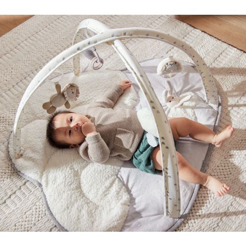 Skip Hop x PBK Dreamy Skies Activity Gym