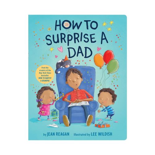 How To Surprise A Dad - By Jean Reagan (board Book)
