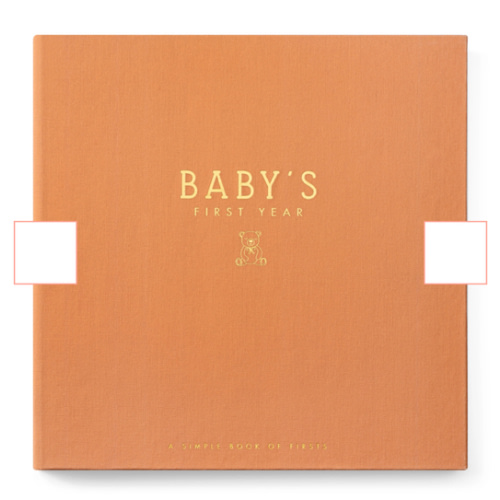 Teddy Bears' Picnic Luxury Memory Baby Book – Lucy Darling