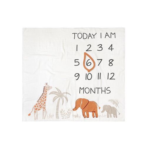 Modern Moments by Gerber Muslin Milestone Blanket with Felt Month Marker Frame