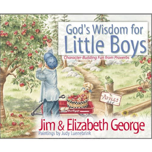 God's Wisdom for Boys