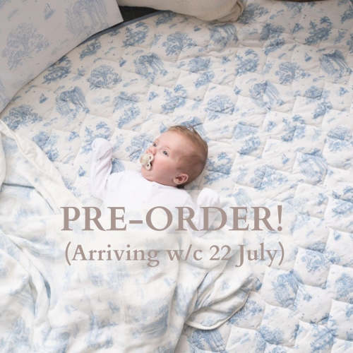 Spring Toile Blue Quilted Playmat