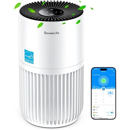 GoveeLife Mini Air Purifier for Bedroom, HEPA Smart Filter Air Purifier with App Alexa Control for Pet Hair, Odors, Pollen, Smoke, Portable Air Cleaner with 3 Speeds, 2 Modes, Timer, Aroma for Home