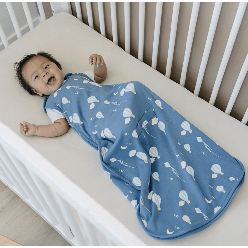 4 Season® Ultimate Baby Sleep Bag, Merino Wool & Organic Cotton, Hot Air Balloon