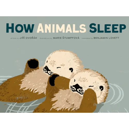 How Animals Sleep a book by Jiri Dvorak, Marie Stumpfova, and Benjamin Lovett - Bookshop.org US
