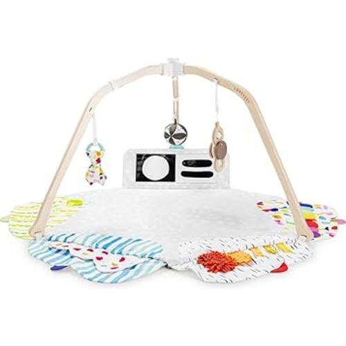 LOVEVERY | The Play Gym | Award Winning For Baby , Stage-Based Developmental Activity Gym & Play Mat for Baby to Toddler